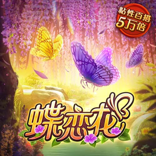 bet9登录进去了吗