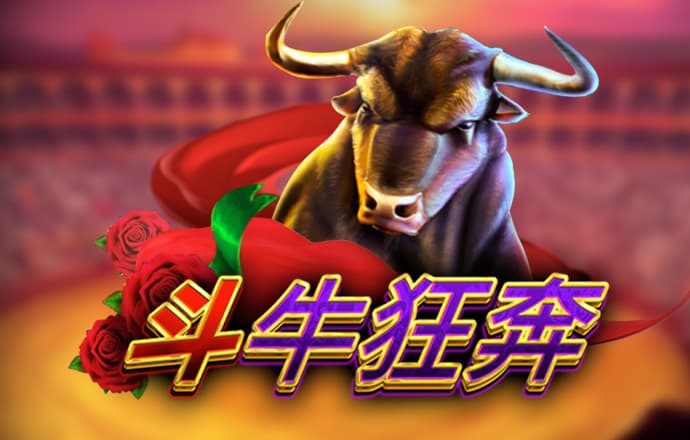 星空体育综合登录